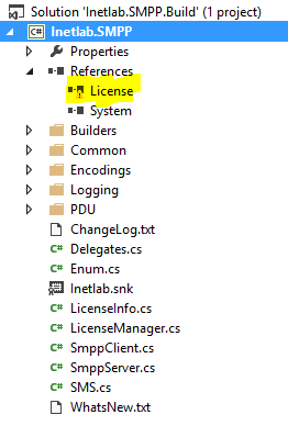 Reference to License cannot be resolved